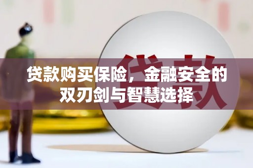 阿勒泰贷款购买保险，金融安全的双刃剑与智慧选择