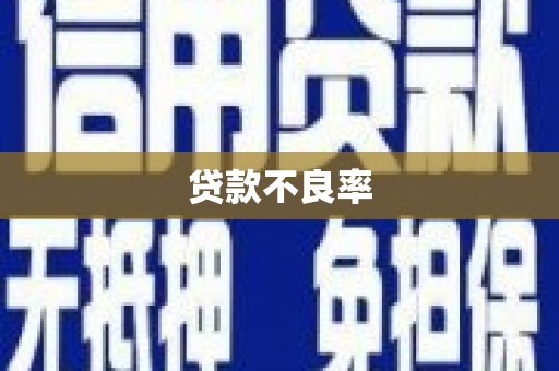 阿勒泰贷款不良率