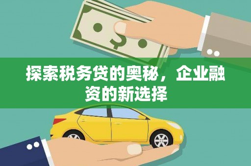阿勒泰探索税务贷的奥秘，企业融资的新选择