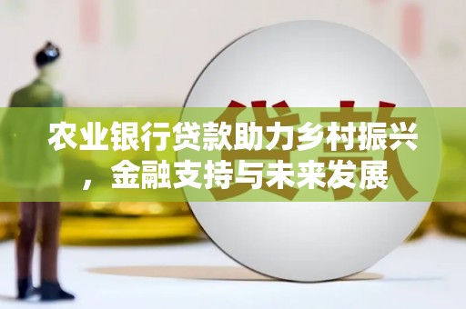 阿勒泰农业银行贷款助力乡村振兴，金融支持与未来发展