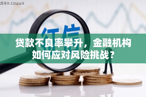 阿勒泰贷款不良率攀升，金融机构如何应对风险挑战？