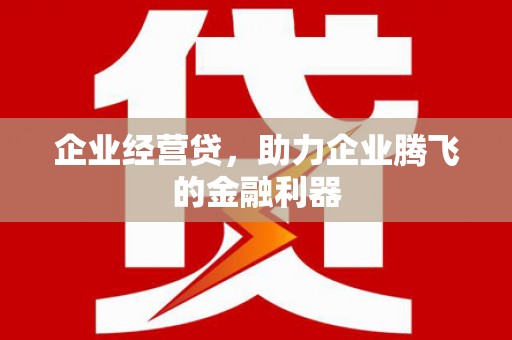 阿勒泰企业经营贷，助力企业腾飞的金融利器