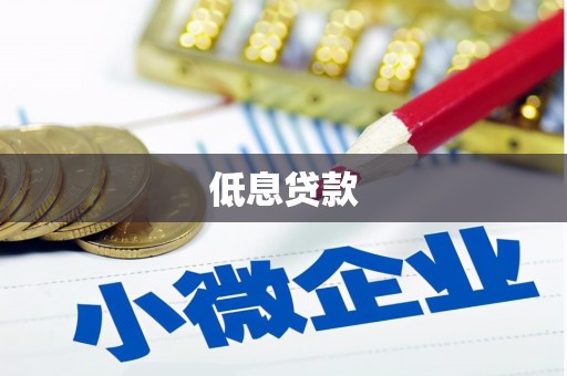 阿勒泰低息贷款