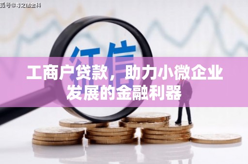 阿勒泰工商户贷款，助力小微企业发展的金融利器