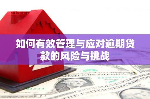 阿勒泰如何有效管理与应对逾期贷款的风险与挑战