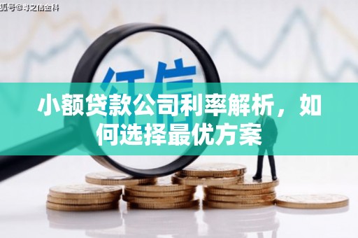阿勒泰小额贷款公司利率解析，如何选择最优方案