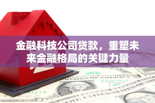 阿勒泰金融科技公司贷款，重塑未来金融格局的关键力量