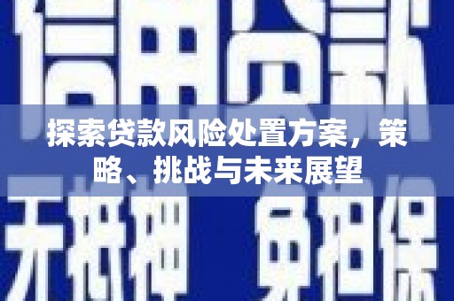 阿勒泰探索贷款风险处置方案，策略、挑战与未来展望
