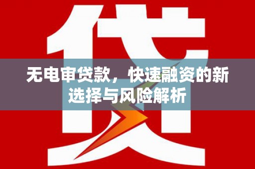 阿勒泰无电审贷款，快速融资的新选择与风险解析