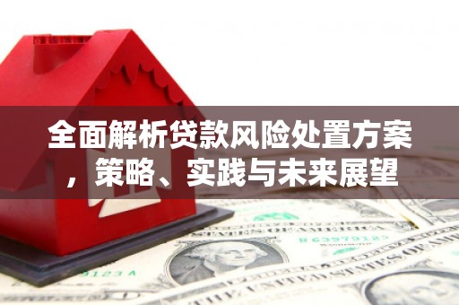 阿勒泰全面解析贷款风险处置方案，策略、实践与未来展望