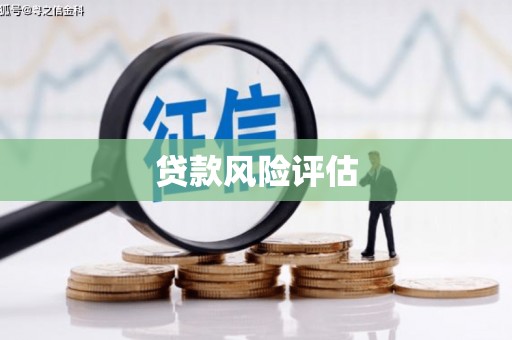 阿勒泰贷款风险评估