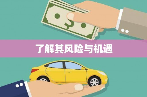 阿勒泰了解其风险与机遇