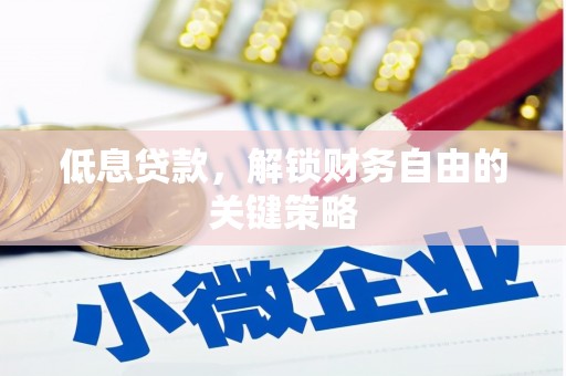 阿勒泰低息贷款，解锁财务自由的关键策略