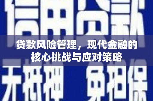 阿勒泰贷款风险管理，现代金融的核心挑战与应对策略
