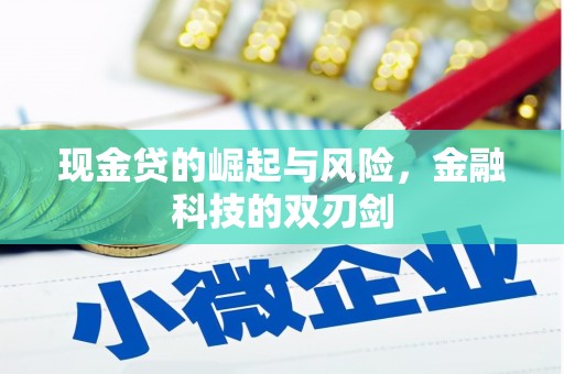 阿勒泰现金贷的崛起与风险，金融科技的双刃剑