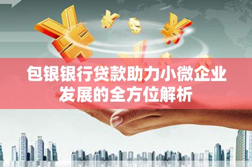 阿勒泰包银银行贷款助力小微企业发展的全方位解析