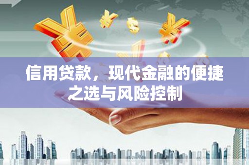 阿勒泰信用贷款，现代金融的便捷之选与风险控制