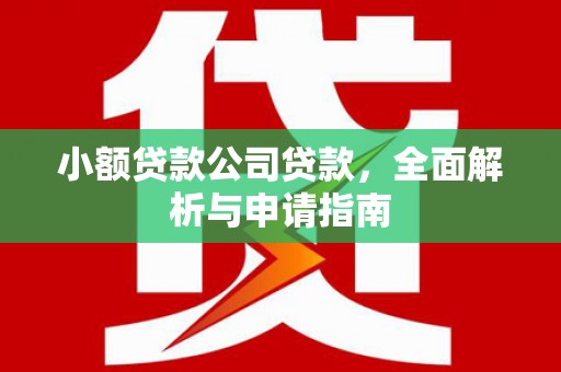 阿勒泰小额贷款公司贷款，全面解析与申请指南