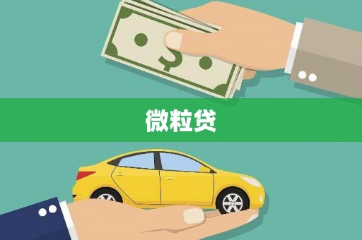 阿勒泰微粒贷