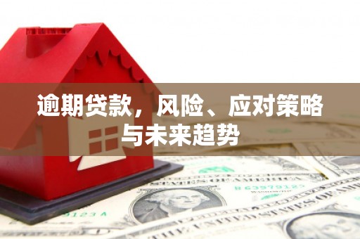 阿勒泰逾期贷款，风险、应对策略与未来趋势