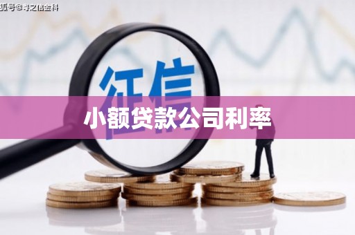 阿勒泰小额贷款公司利率