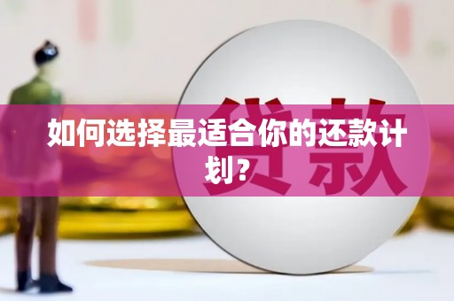 阿勒泰如何选择最适合你的还款计划？