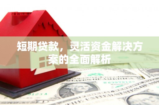 阿勒泰短期贷款，灵活资金解决方案的全面解析