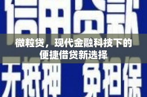 阿勒泰微粒贷，现代金融科技下的便捷借贷新选择