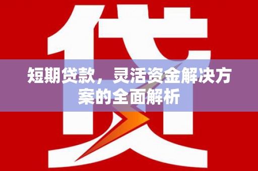 阿勒泰短期贷款，灵活资金解决方案的全面解析