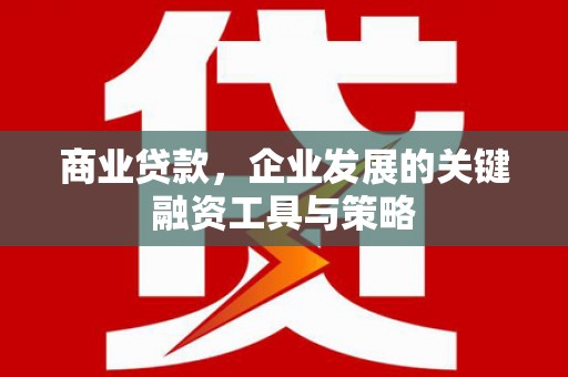 阿勒泰商业贷款，企业发展的关键融资工具与策略