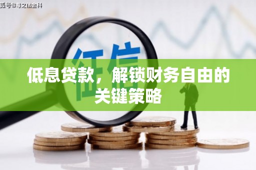 阿勒泰低息贷款，解锁财务自由的关键策略