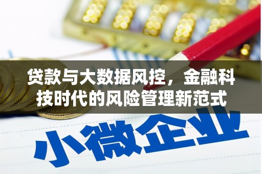 阿勒泰贷款与大数据风控，金融科技时代的风险管理新范式