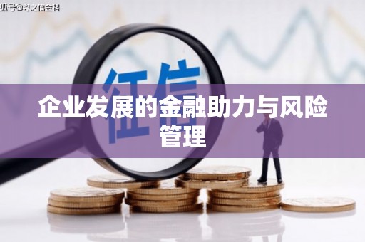 阿勒泰企业发展的金融助力与风险管理
