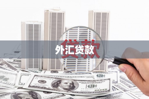 阿勒泰外汇贷款