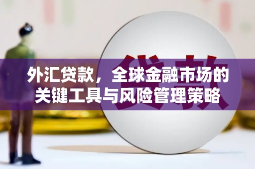 阿勒泰外汇贷款，全球金融市场的关键工具与风险管理策略