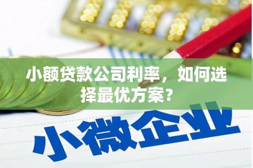阿勒泰小额贷款公司利率，如何选择最优方案？