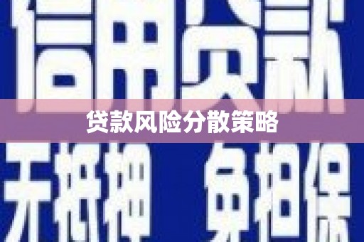 阿勒泰贷款风险分散策略