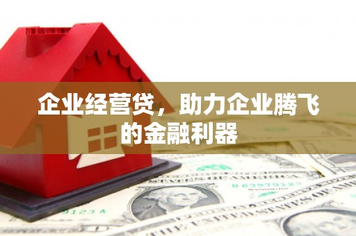 阿勒泰企业经营贷，助力企业腾飞的金融利器