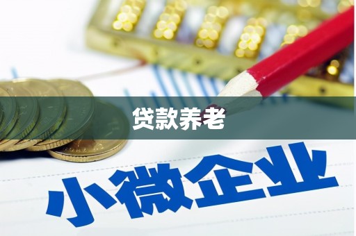 阿勒泰贷款养老