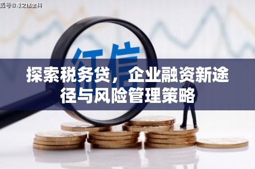 阿勒泰探索税务贷，企业融资新途径与风险管理策略