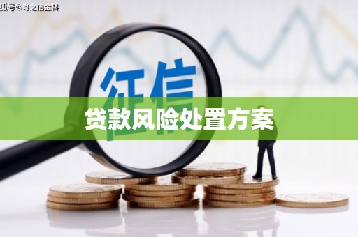 阿勒泰贷款风险处置方案
