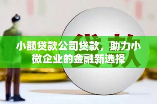 阿勒泰小额贷款公司贷款，助力小微企业的金融新选择
