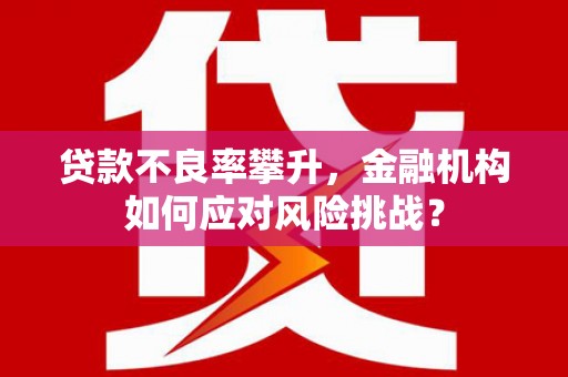 阿勒泰贷款不良率攀升，金融机构如何应对风险挑战？