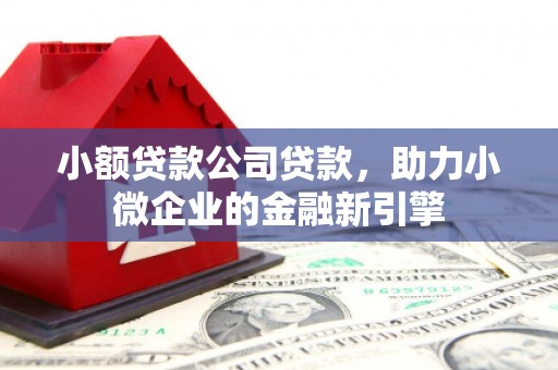 阿勒泰小额贷款公司贷款，助力小微企业的金融新引擎