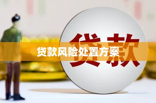 阿勒泰贷款风险处置方案