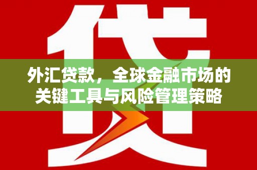 阿勒泰外汇贷款，全球金融市场的关键工具与风险管理策略