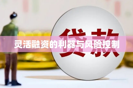 阿勒泰灵活融资的利器与风险控制