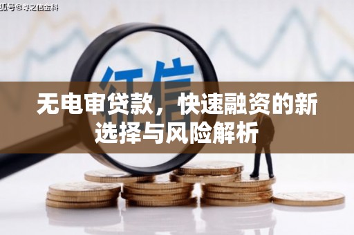 阿勒泰无电审贷款，快速融资的新选择与风险解析