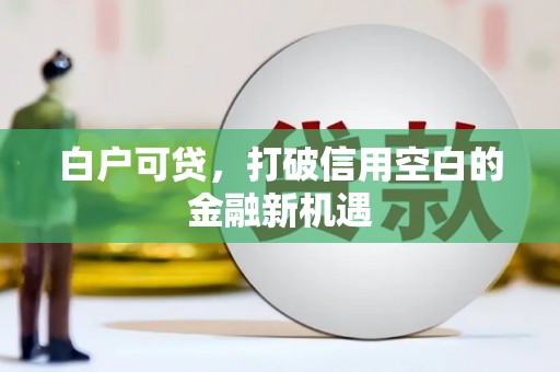 阿勒泰白户可贷，打破信用空白的金融新机遇