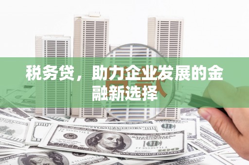阿勒泰税务贷，助力企业发展的金融新选择
